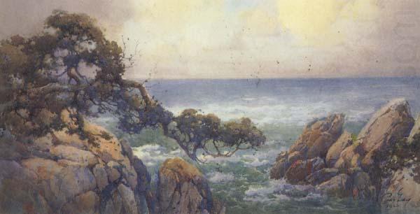 Cypress Trees on the Monterey Coast, unknow artist